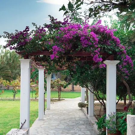 Angela 2* Skyros